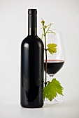 A bottle of red wine, a glass of red wine and a vine