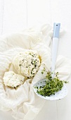 Goat's cheese ricotta with herbs