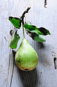 A Hochfeine Butterbirne pear with stem and leaves