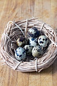 Quail Eggs in a Nest; From Above