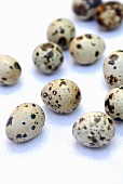 Several quails' eggs