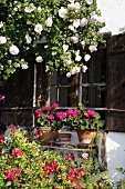 Blühender Garten vor einem Bauernhaus