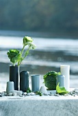 Tischdeko für eine Sommerparty am Flussufer: verschiedene Vasen, Kiesel verschiedener Grösse, Wirsing und Wiesenblume