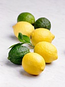 Lemons and Limes; Whole, Half and Slice