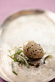 A quail's egg on a silver tray