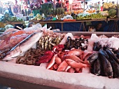 Fresh Seafood Display at an Outdoor Market