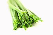 Fresh chives (close-up)