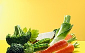 Broccoli, carrots, leek, peas and celery