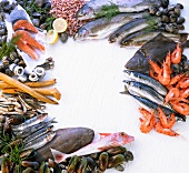 Fish and seafood forming a frame