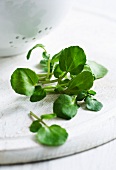 Fresh watercress in front of a colander