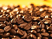 Viele Kaffeebohnen (Close Up)