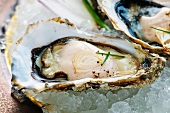 Oysters with shallot and vinegar foam (close-up)