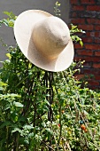 A straw hat on tomato plants in the garden