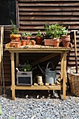 Holztisch mit Pflanzen und Gartenutensilien