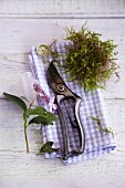 Still life - secateurs, flower and a handful of moss on a plaid cloth