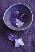 Sill life in purple - hydrangea flowers in a bowl on a linen cloth