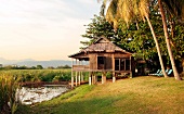 Bamboo stilt hut below trees and palm trees on riverbank
