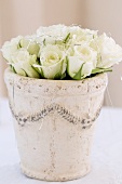 White roses in plant pot