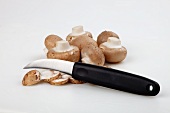Brown mushrooms with a knife
