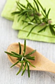 Fresh rosemary on a wooden spoon