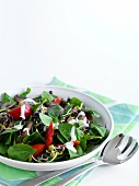 Spinach salad with bean sprouts