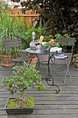 Garden table and chairs in dark metal and bonsai tree on wooden decking in garden