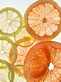 Various sliced citrus fruits (seen from above)
