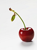 A cherry on a white surface