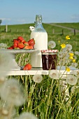 Erdbeeren und Marmelade vor Milchflasche auf Schemel in Sommerwiese