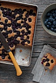 Square Blueberry Cake Made with Organic Maine Blueberries