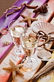 Glasses of sparkling wine and decorative seashells on multi-coloured wooden boards