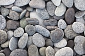 Assorted pebbles