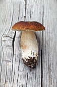 A fresh porccini mushroom on a wooden surface