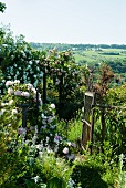 Blühende Rosenbüsche in wildem Garten und Blick über die Landschaft. Das Gartentor ist geöffnet.
