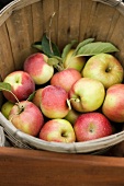 Äpfel im Holzkorb