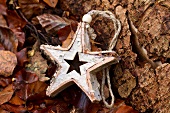 Home-made Christmas star next to tree trunk