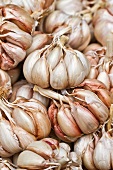 Garlic bulbs on a market stand (Funchal, Madeira, Portugal)