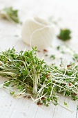 Chopped garden cress with a ball of twine