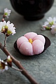 Mochi (Reiskuchen, Japan) mit Kirschblütenzweig