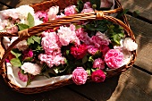 A basket of roses