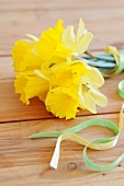 Daffodils and decorative ribbon on wooden surface
