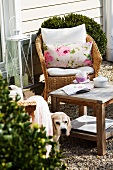 Tea break in garden - wicker chair with cushions and rustic side table in front of wood-clad house
