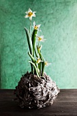 Frühlingsblumen in einem Holzgefäss