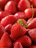 Fresh Strawberries Close Up; One with Stem