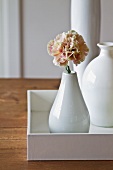 Various white ceramic vases with carnation
