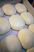 Close up of pizza dough loaves