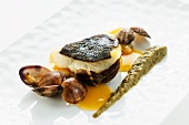 Turbot with clams and aubergine puree