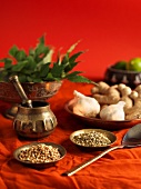 An arrangement of Indian herbs and spices