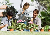 Family tending potted plants