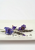 Sprigs of dried lavender and flowers on dish